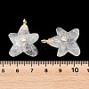 Natural Quartz Crystal Pendants X-G-H353-01G-02-3