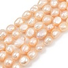 Natural Cultured Freshwater Pearl Beads Strands PEAR-P064-20L-02B-2