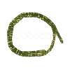 Electroplate Glass Beads Strands GLAA-B023-01A-02-2