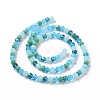 Glass Beads Strands GLAA-E036-09G-3