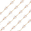 1M Handmade Acrylic Butterfly Link Chains CHC-TA0001-24B-3