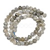 Natural Labradorite Beads Strands G-P611-C26-01-3