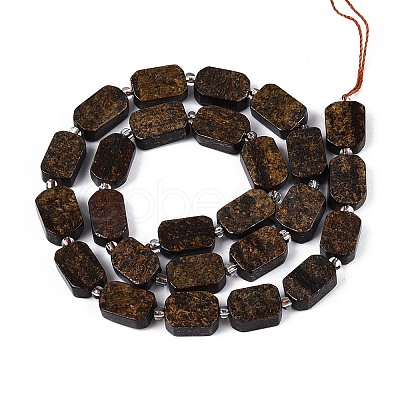 Natural Bronzite Beads Strands G-T138-26A-06-1