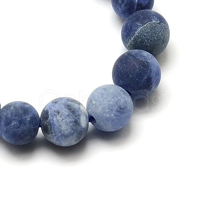 Nature Frosted Sodalite Round Bead Strands G-M064-4mm-01-1