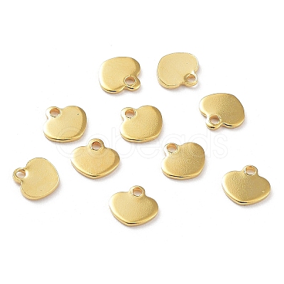201 Stainless Steel Charms STAS-K259-08G-1