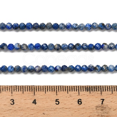 Natural Lapis Lazuli Beads Strands G-RM2025526-A01-3mm-1