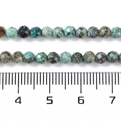 Natural African Turquoise(Jasper) Beads Strands G-N342-29B-1