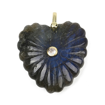 Natural Labradorite Carved Pendants G-C276-01G-06-1