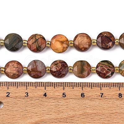 Natural Picasso Jasper/Polychrome Jasper Beads Strands G-C116-A118-01-1