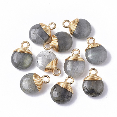 Natural Labradorite Pendants X-G-S359-021A-1