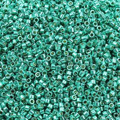 MIYUKI Delica Beads X-SEED-J020-DB2505-1