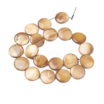 Natural Freshwater Shell Beads X-BSHE-I011-01A-01-1