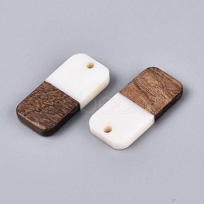 12Pcs 6 Styles Opaque Resin & Walnut Wood Pendants RESI-N053-22-1