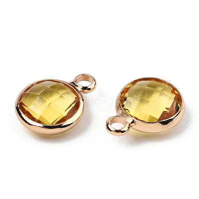 K9 Glass Charms GLAA-N038-22-01LG-1