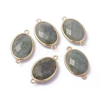Golden Tone Brass Natural Labradorite Links connectors X-G-F339-A15-1