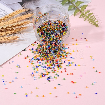 160G 8 Style Glass Seed Beads SEED-SZ0001-009-1