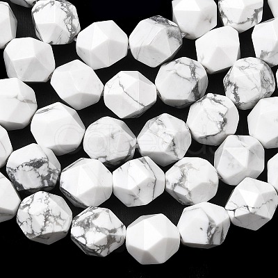 Natural Howlite Beads Strands G-Z119-A43-03-1