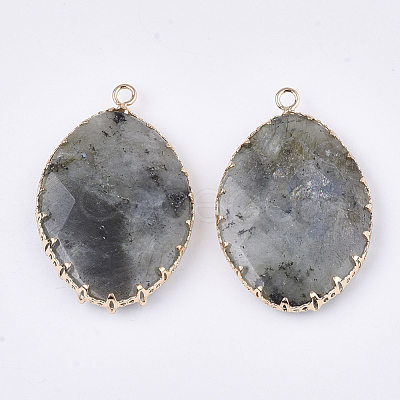Natural Labradorite Pendants G-S344-83A-1