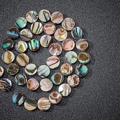 Natural Abalone Shell/Paua Shell Beads SSHEL-BC0001-09-1