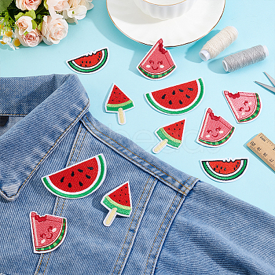 20Pcs 4 Styles Watermelon Nylon Computerized Embroidery Cloth Iron on/Sew on Patches DIY-HY0002-87-1