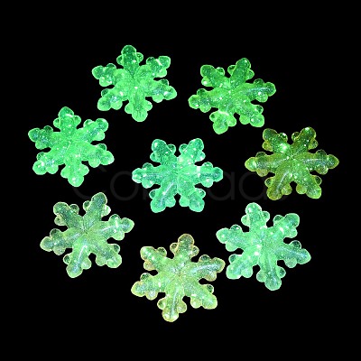 Luminous Transparent Acrylic Beads LACR-U001-06-1