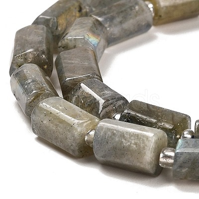 Natural Labradorite Beads Strands G-G068-A10-01-1