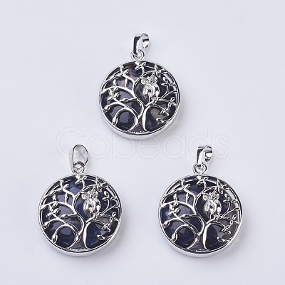 Natural Sodalite Pendants G-K234-E01-1