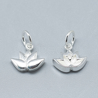 925 Sterling Silver Charms X-STER-T002-117S-1