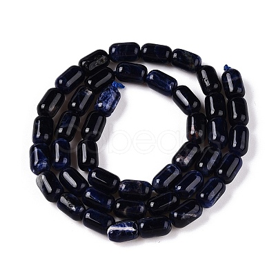 Natural Sodalite Beads Strands G-G980-37A-1
