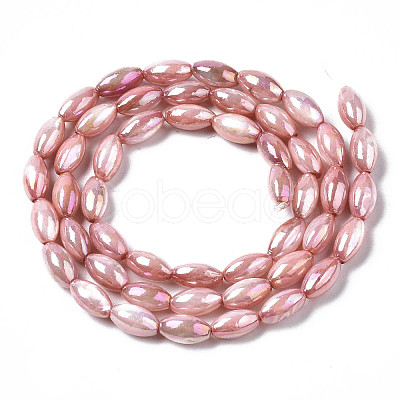 Freshwater Shell Beads Strands SHEL-N026-141D-1