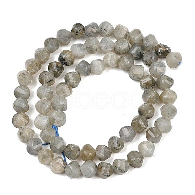 Natural Labradorite Beads Strands G-P611-C26-01-1