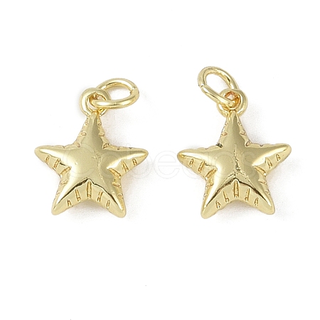 Brass Pendant with Jump Rings KK-O147-01A-G-1