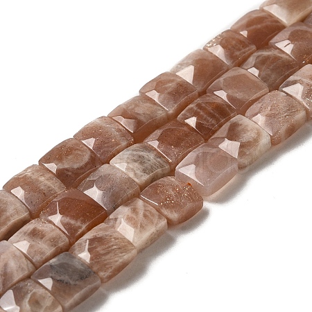 Natural Sunstone Beads Strands G-C109-A09-02-1