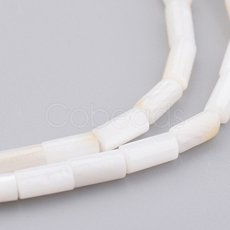 Natural Shell Bead Strands X-BSHE-P016-05-1