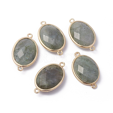 Golden Tone Brass Natural Labradorite Links connectors X-G-F339-A15-1