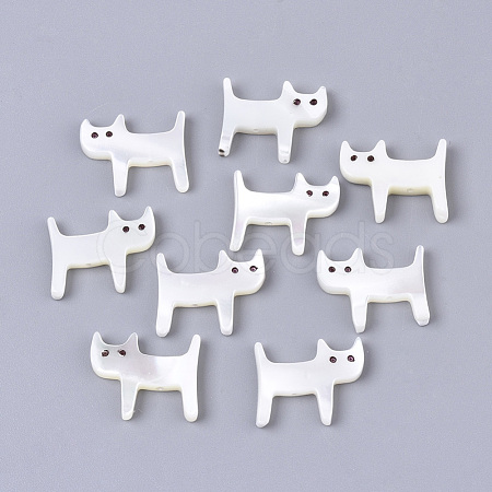 Natural Trochid Shell/Trochus Shell Beads SSHEL-N034-62-1
