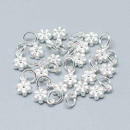 925 Sterling Silver Charms STER-T002-104S-1