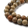 Natural Aqua Terra Jasper Beads Strands G-E444-14B-8mm-3