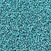 MIYUKI Delica Beads X-SEED-J020-DB0427-2