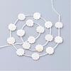 Natural White Shell Beads SSHEL-Q298-06-2