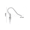 Tarnish Resistant 304 Stainless Steel Earring Hooks STAS-S111-003-3