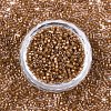 FGB 11/0 Grade A Baking Paint Glass Seed Beads X-SEED-S030-1146-3