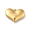 Ion Plating(IP) 304 Stainless Steel Pendants LS-STAS-E176-01G-3