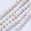 Natural Magnesite Bead Strands X-G-P286-10-6mm-1