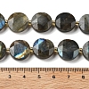 Natural Labradorite Beads Strands G-C116-A164-03-5