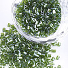 FGB Grade A Glass Seed Beads SEED-S022-03R-1