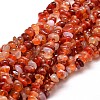 Dyed Natural Carnelian Chip Beads Strands X-G-E271-105-1