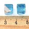 K9 Glass Imitation Austrian Crystal Beads GLAA-P069-01C-202-3