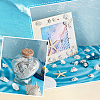 400G Natural Shell Beads SHEL-GA0002-31-4