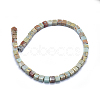 Natural Aqua Terra Jasper Beads Strands G-I213-01-4mm-2